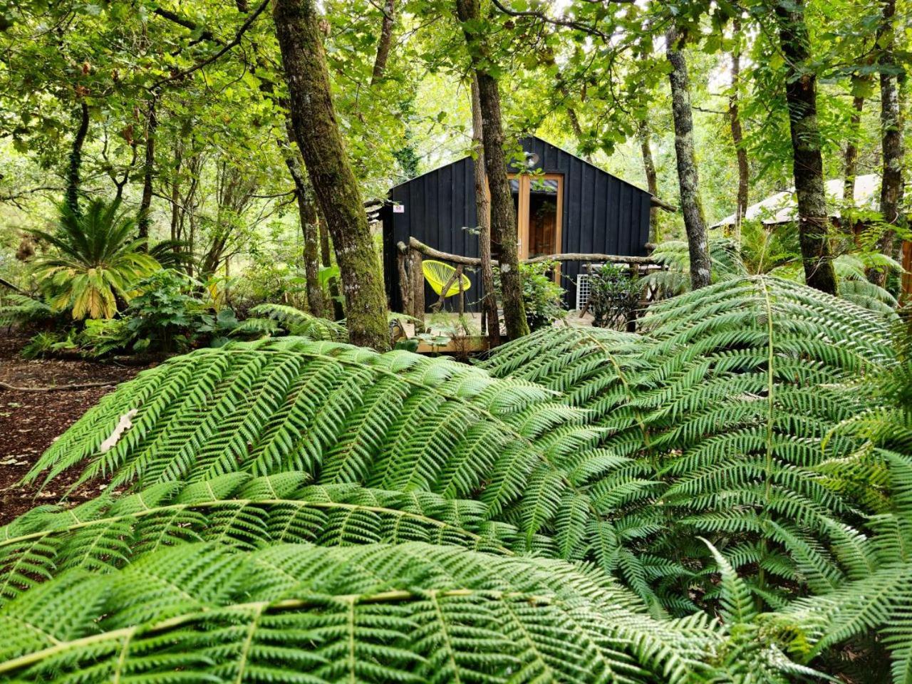 Camping Aux Couleurs Du Ferret Lège-Cap-Ferret Esterno foto